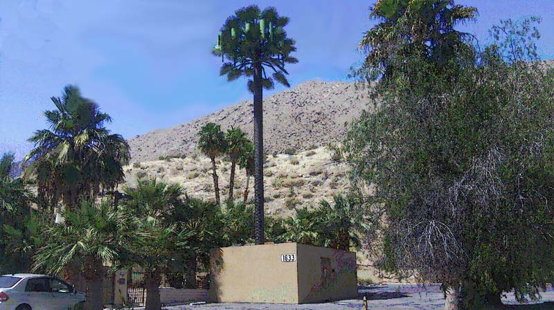 cell tower in front of Michael's home in Palm Springs
